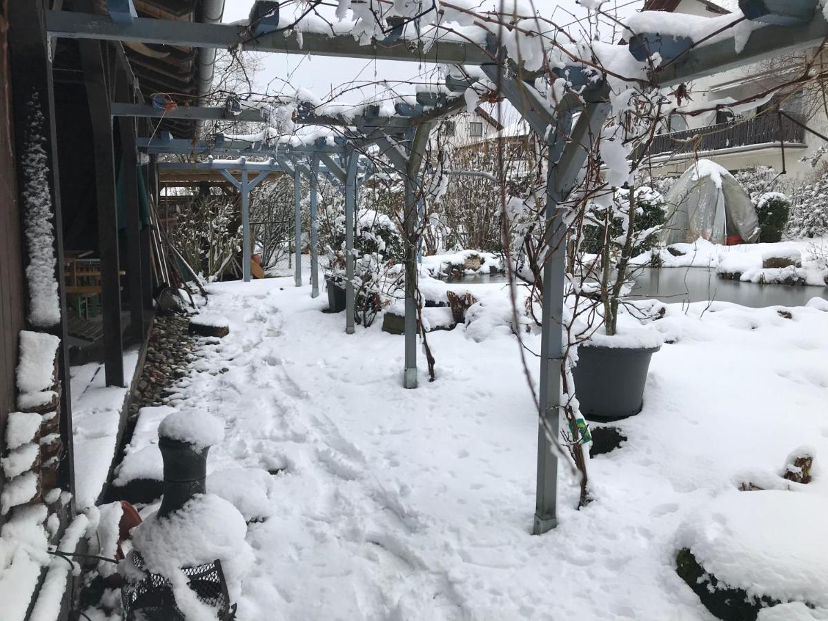 Dierdorf Kunsthaus Mit Gartensauna מראה חיצוני תמונה