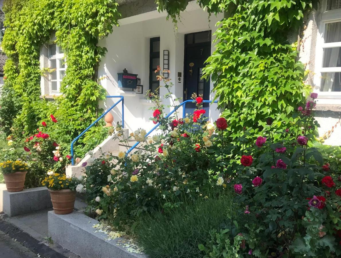 Dierdorf Kunsthaus Mit Gartensauna מראה חיצוני תמונה